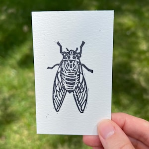 May include: A black and white linocut print of a cicada insect on a small, rectangular piece of paper. The cicada is centered, with detailed wings and body markings. The paper is held against a blurred green background.