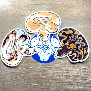 Puede incluir: Tres pegatinas de serpiente de colores sobre un fondo azul. Las serpientes están en diferentes poses y tienen una variedad de patrones.