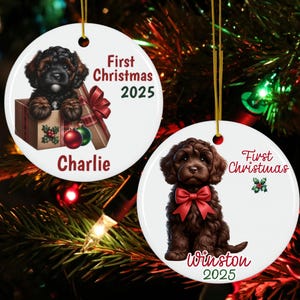 May include: Two white ceramic Christmas ornaments with gold hanging strings. One features a black and brown puppy in a gift box, the text "First Christmas 2025" and the name "Charlie". The other shows a brown puppy with a red bow, the text "First Christmas" and the name "Winston 2025".