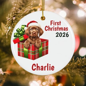 May include: A round white ceramic ornament featuring a brown puppy wearing a red and white Santa hat inside a red and green plaid gift box with a green bow. The text reads First Christmas 2026 and the name Charlie in red and black lettering.