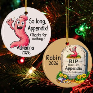 May include: Two round white and beige ceramic ornaments with gold hanging strings. One features a pink cartoon appendix character with the text So long, Appendix! (Thanks for nothing.) Adrianna 2026. The other shows a tombstone with the text RIP Here Lies Appendix Gone But Not Forgotten, a small appendix character, Robin, and 2026.