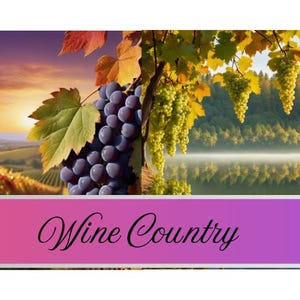 Wine Country Digital Paper Bundle | Vineyard Scrapbook Paper | Winery-Themed Backgrounds |Instant Download