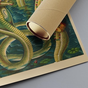 May include: A rolled poster featuring a detailed illustration of several green and yellow cobras in a watery environment. The artwork has a vintage aesthetic, with a tan border and a brown cardboard tube partially obscuring the image.