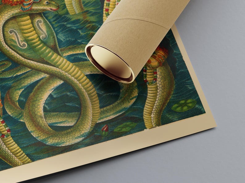 May include: A rolled poster featuring a detailed illustration of several green and yellow cobras in a watery environment. The artwork has a vintage aesthetic, with a tan border and a brown cardboard tube partially obscuring the image.