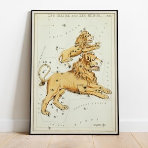 Vintage Leo Major & Leo Minor Sternbild Karte, antike himmlische Sternenkarte Poster - Premium Semi-Glossy Papier