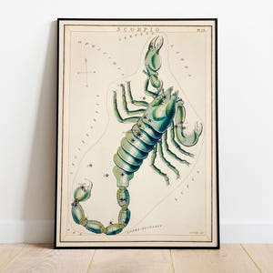 Zodiaque Scorpion, impression de carte des étoiles, astrologie céleste vintage, art mural horoscope - affiche de haute qualité, papier semi-brillant de qualité supérieure