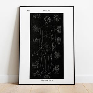 Anatomia zodiacale vintage, diagramma astrologico, pittura per la casa, poster HQ - carta semi-lucida premium