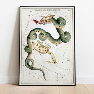 Draco et la Ourse mineure, impression constellation, carte céleste vintage, art mural horoscope - affiche de film de haute qualité, papier semi-brillant premium