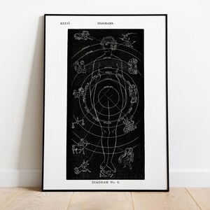 Zodiaco vintage, diagramma anatomico, astrologia e influenza planetaria, pittura per la casa, poster HQ - carta semi-lucida premium