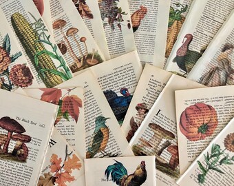 May include: A collection of vintage book pages with botanical and animal illustrations. The images include a corn cob, mushrooms, a turkey, a rooster, and autumn leaves. The pages have text from a book, with some pages showing the text "The Black Spot".
