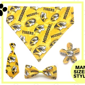 Gold Mizzou Tigers Pet Accessory - Over the Collar - Custom - Bandana, Bow Tie, Neck Tie, Flower - University of Missouri
