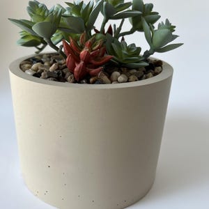 May include: A light beige concrete planter with a round shape and a smooth surface. The planter is filled with small stones and artificial succulents, including green and red varieties.