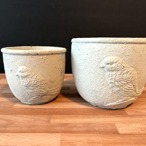 May include: Two off-white, textured concrete planters of different sizes, each featuring a raised, molded relief of a bird on the front exterior surface. The planters have a rounded, bowl-like shape with a smooth interior rim and a rough, porous exterior finish.