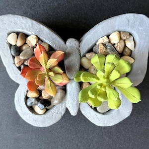 May include: A gray concrete butterfly planter with two succulents, one with red and orange leaves and the other with green leaves. The planter is filled with small gray and brown stones.