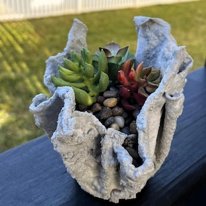 May include: A white, textured, ceramic planter with a ruffled edge, filled with a variety of succulents and small stones.