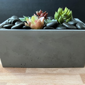 Handmade Concrete Rectangle Succulent Planter: Rustic Garden Decor