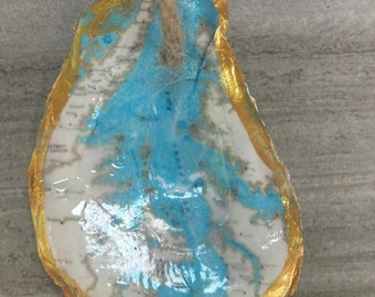 Chesapeake Bay Oyster Shell
