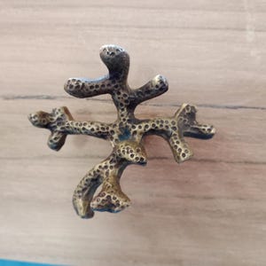 May include: A brass cabinet knob shaped like a coral branch with a textured surface.