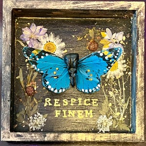 RESPICE FINEM: Corvid Butterfly Rebirth Memento Mori Original Art Gothic Victorian Metamorphosis Death