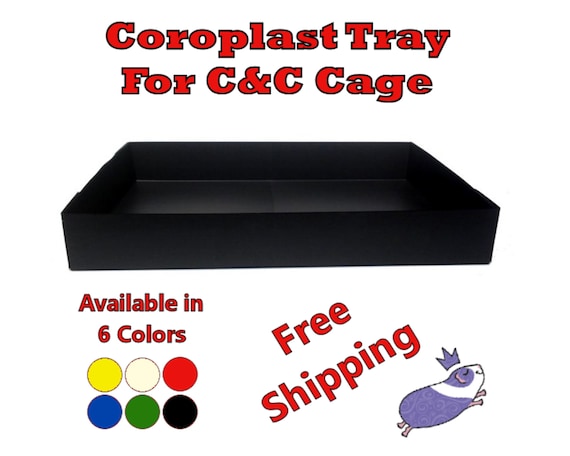 Coroplast guinea hotsell pig