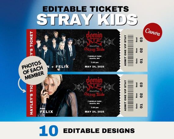 stray kids オンコン ARチケット フィリックス straykids StrayKids