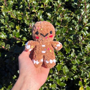 May include: A brown, plush gingerbread man doll with white accents on the hands and feet. The doll has a smiling face with black eyes and a black mouth. It is decorated with colorful sprinkles.