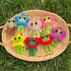 Handmade Felt Frog Keychain | Star, Heart, Tomato, Shirt | Quirky Colorful Unique | One of a Kind