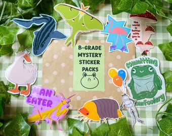 B-Grade Mystery Sticker Pack | 5 Glossy & Matte Stickers