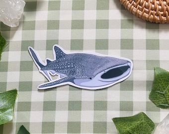 Whale Shark Sticker | Glossy, Water Resistant Vinyl Decal