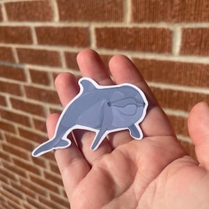 Dolphin Sticker | Glossy | Cute Sea Creature | Funny Sticker | Animal lover Gift | Vibrant | Handmade | Gift for her | Silly Stickers Fun