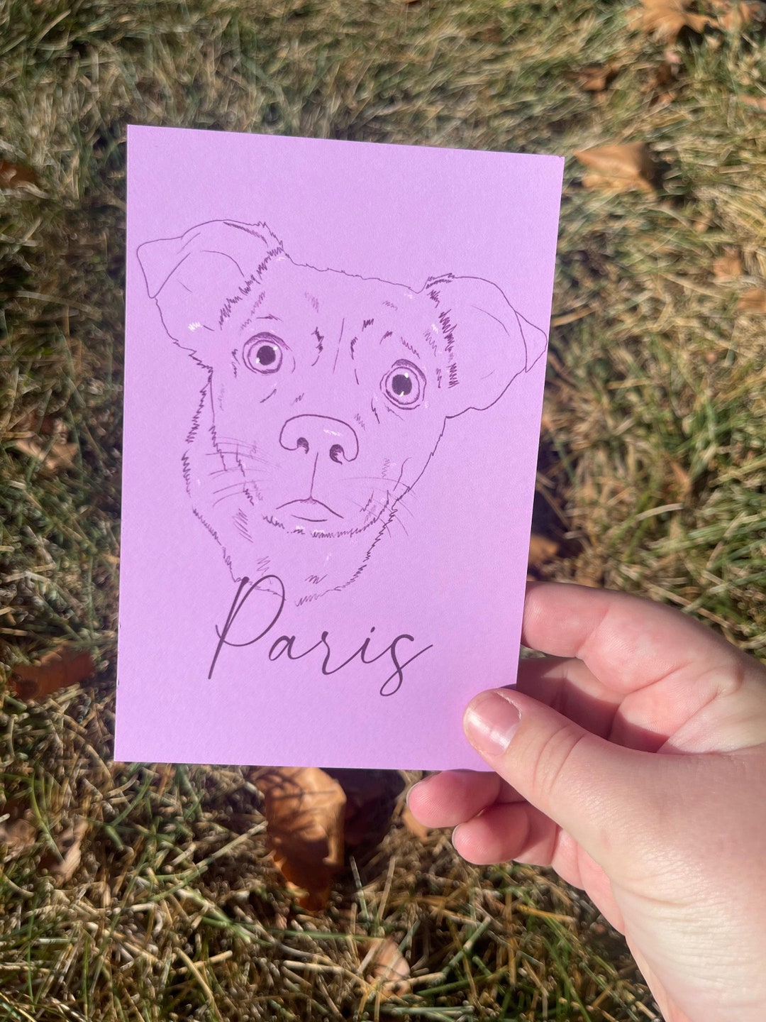 Custom Pet Portrait Print – Hand-drawn Dog & Cat Art - Etsy