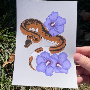 Konsttryck med svart kungspyton – Realistisk heminredning av reptilälskare