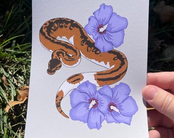 Kunstprint bonte bal python – Realistisch huisdecoratie reptielenliefhebber