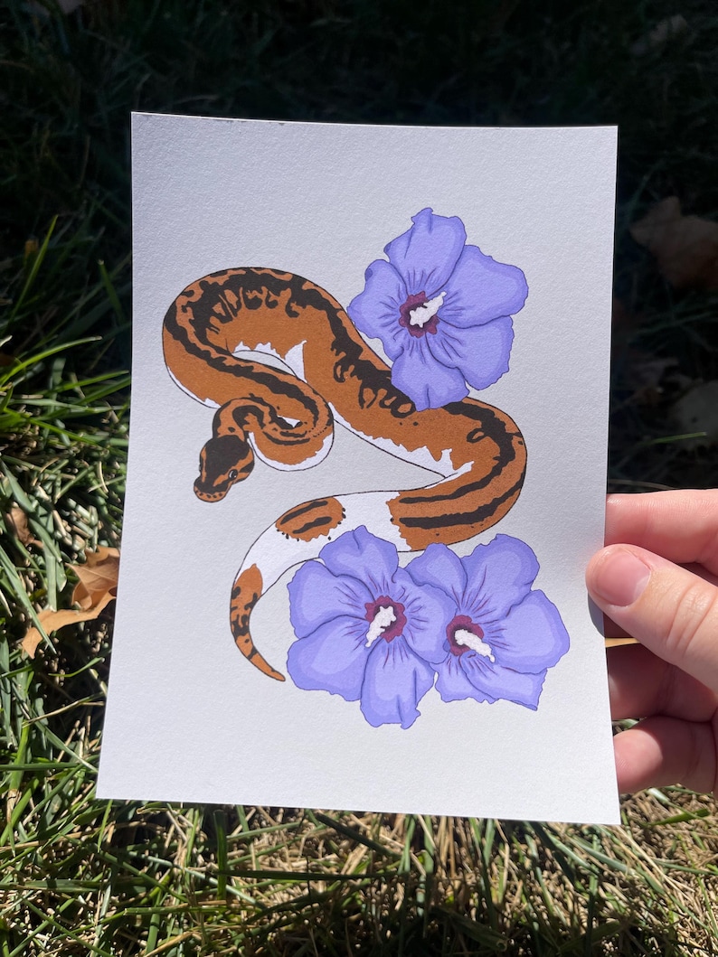 Pied Ball Python Art Print – Reptile Lover Realistic Home Decor - Etsy