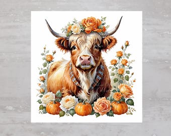 Pode incluir: Uma vaca Highland marrom e branca com uma coroa de rosas laranja e brancas na cabeça. A vaca está sentada em um campo de rosas laranja e brancas e abóboras.