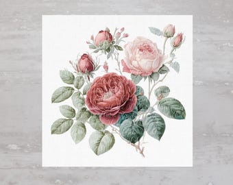 May include: A vintage illustration of a bouquet of pink and red roses with green leaves. The roses are in full bloom and have a delicate, romantic feel.