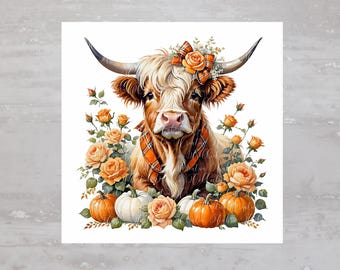 Pode incluir: Uma vaca Highland com pelagem marrom e branca, usando um laço xadrez, cercada por rosas laranja e abóboras.