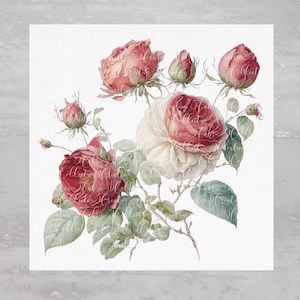 Shabby Cottagecore Fabric Soft Cabbage Roses Fabric Panel A201, Quilting Square, Quilt Sewing Block, Clothing Applique Panel, Craft Fabric
