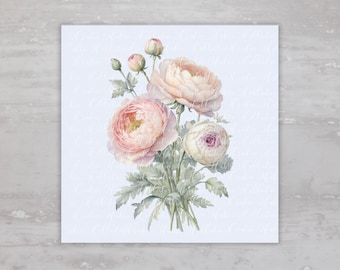May include: A watercolor painting of a bouquet of pink and white ranunculus flowers with green leaves.