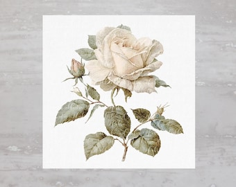 May include: A watercolor painting of a single white rose with green leaves and a bud. The rose is in full bloom and has a delicate, feminine appearance.