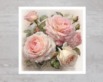 May include: A bouquet of pink and white roses with green leaves. The roses are arranged in a cluster, with the pink roses in the front and the white roses in the back.