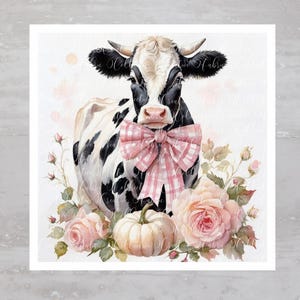 May include: A black and white cow wearing a pink and white gingham bow tie, surrounded by pink roses and a small white pumpkin.
