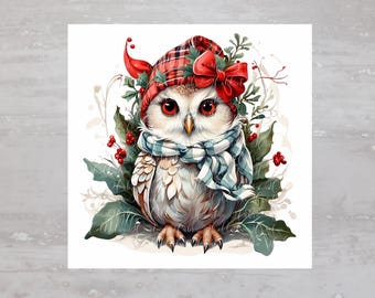 May include: A white owl wearing a red and black plaid hat with a red bow and a blue and white scarf. The owl is surrounded by green leaves and red berries.