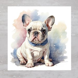 May include: Watercolor illustration of a white French Bulldog puppy with a blue patterned scarf. The dog is sitting, facing forward, with large, expressive brown eyes. The background features soft watercolor washes of pink, blue, and yellow.