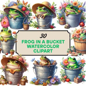 Clipart de Sapo em um Balde em Aquarela | Sapo Verde Fofo PNG, Ilustração de Animal Fantástico, Clipart de Jardim, Download Digital, 300 DPI