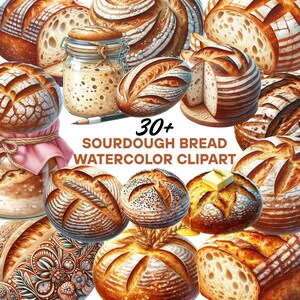 Aquarell Sauerteig Clipart |  Brot Designs für Menüs, Tassen, Aufkleber, Karten | Hochauflösend 300 DPI | Kuchen PNG Digital Download
