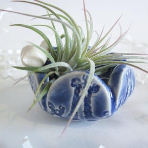 Air plant holder, ceramic ring holder, Mini ring dish, air plant vase, air plant planter, Mini ring bowl, image 9