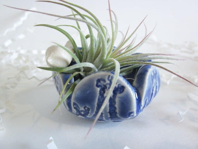 Air plant holder, ceramic ring holder, Mini ring dish, air plant vase, air plant planter, Mini ring bowl, image 9