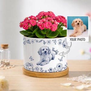 May include: A white ceramic planter featuring a blue line-art illustration of a poodle and the name Buddy, filled with vibrant pink kalanchoe flowers. The planter sits on a circular wooden base and is decorated with a delicate floral pattern.
