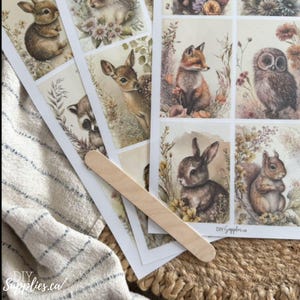 Peut inclure: Un ensemble de neuf autocollants illustrés représentant différents animaux de la forêt, notamment un lapin, un renard, un hibou, un cerf et un écureuil. Les autocollants sont imprimés sur du papier blanc avec un effet aquarelle et ont un style rustique et vintage.